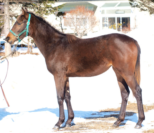 ゴッドビラブドミー23