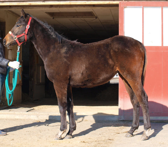 ケイティローレル23