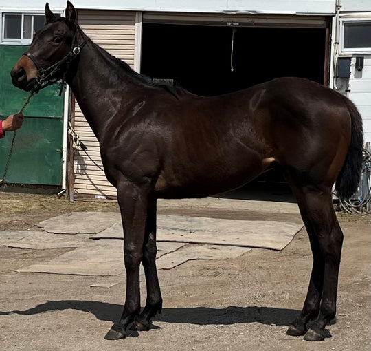 マイファーストラヴ22