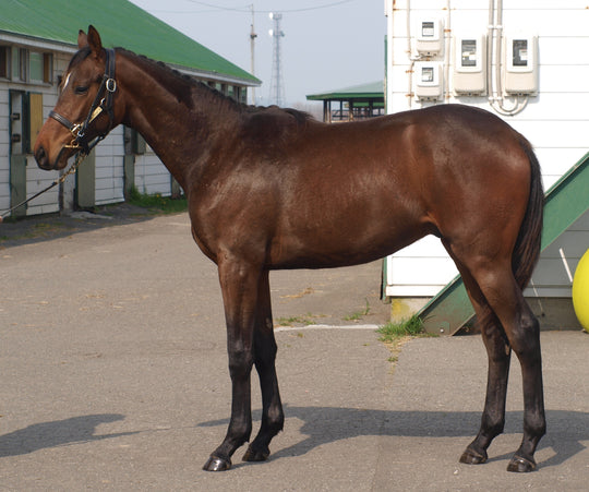 サンマルリトリート24