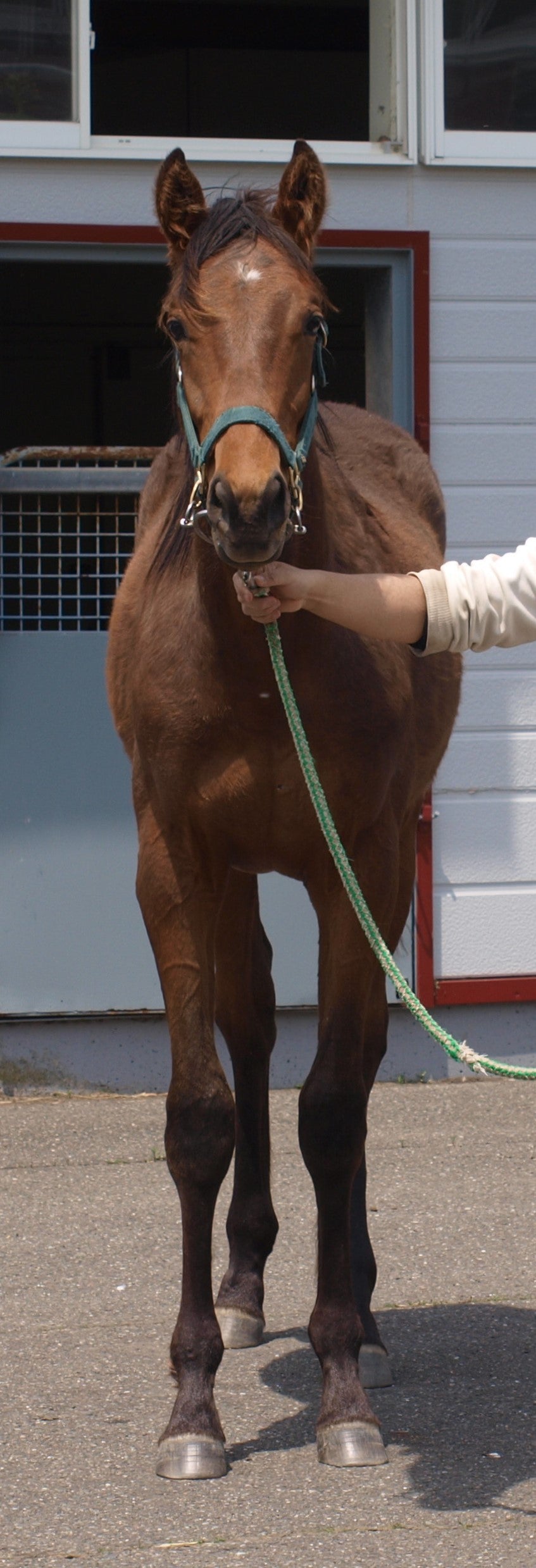 ミラクルステイ24