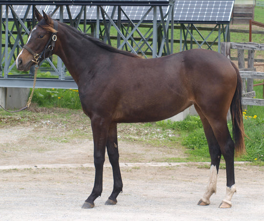 ルージュヴィッフ24