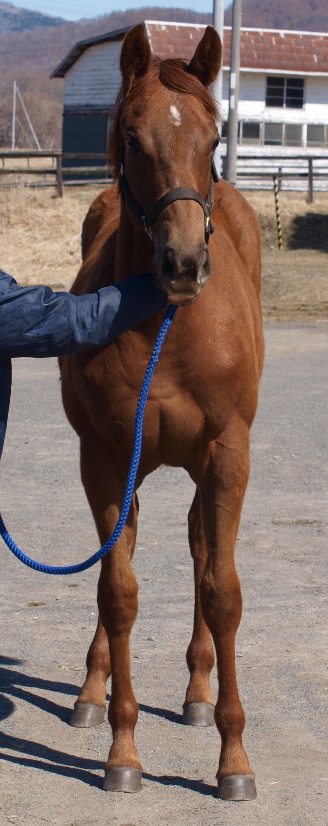 ミスヒアリング25