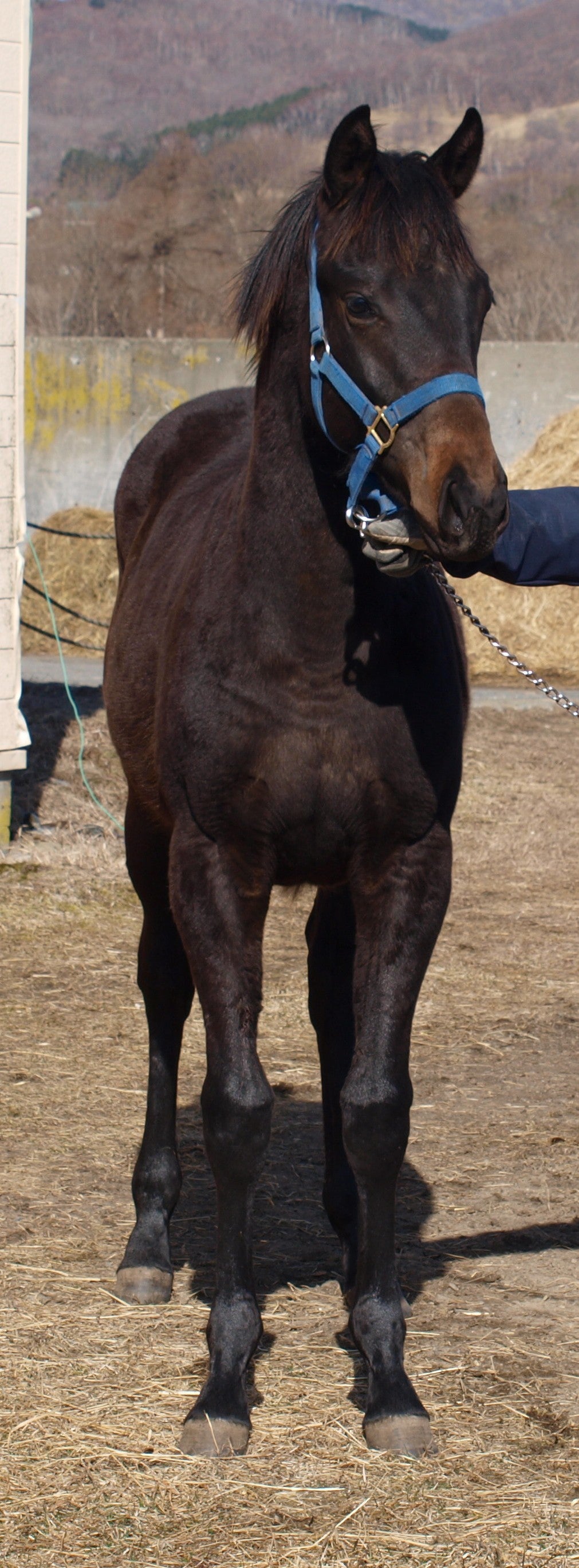 サンシアトル25