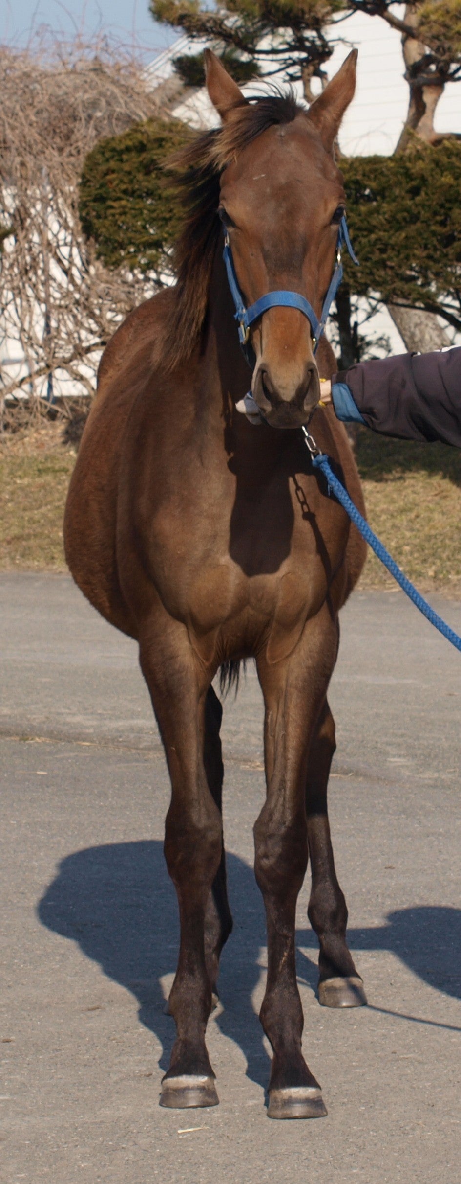 ムーンフライト25