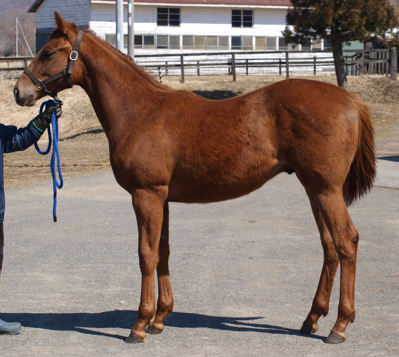 ミスヒアリング25