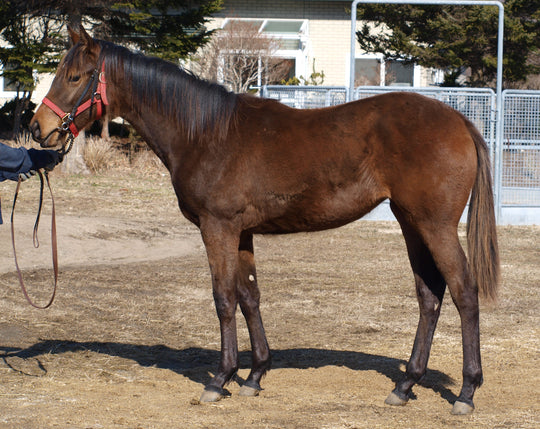 ネクストエピソード25