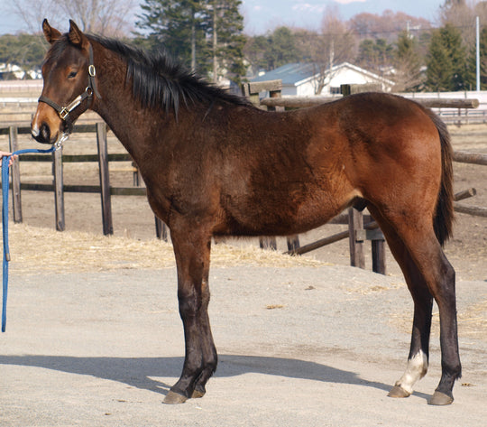 ハートエンジェル25