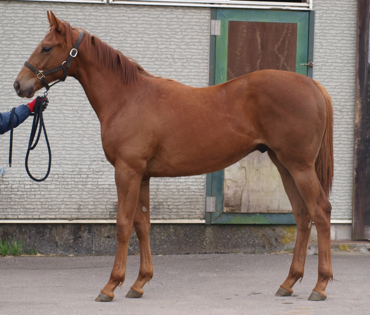 ミスヒアリング25