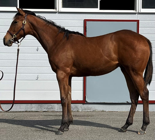 アサカラヴァーズ22