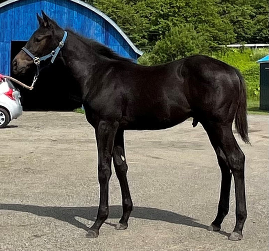 ストリートダンサー23