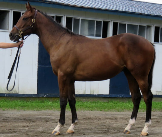 ウエスタンイヴ21