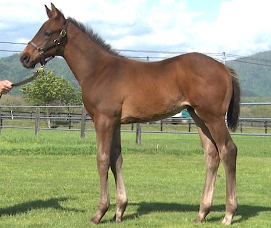 マルハチラブーム21