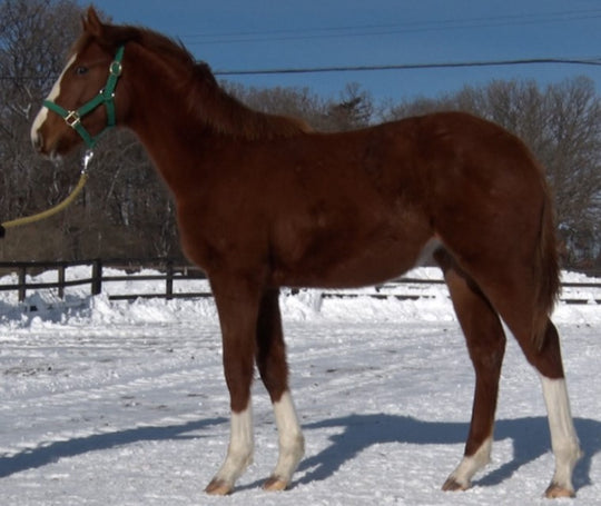 ディパッション21