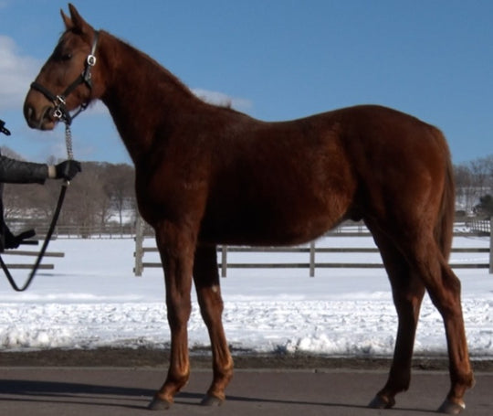 マリナーズコンパス21