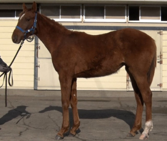 クイーンズシアター21