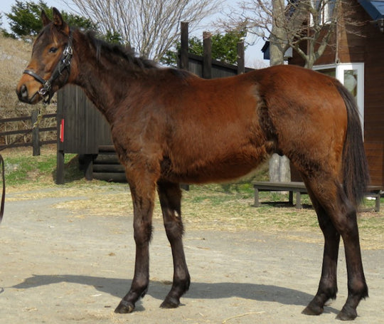 テイクザスカイ21