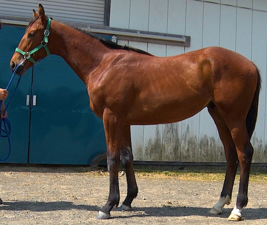 ユーアーマイン21