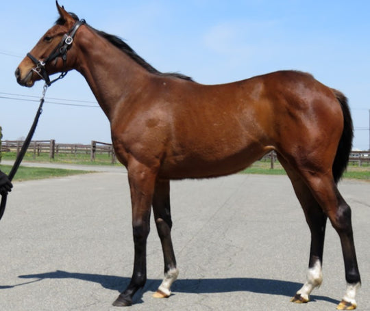 リラックススマイル21