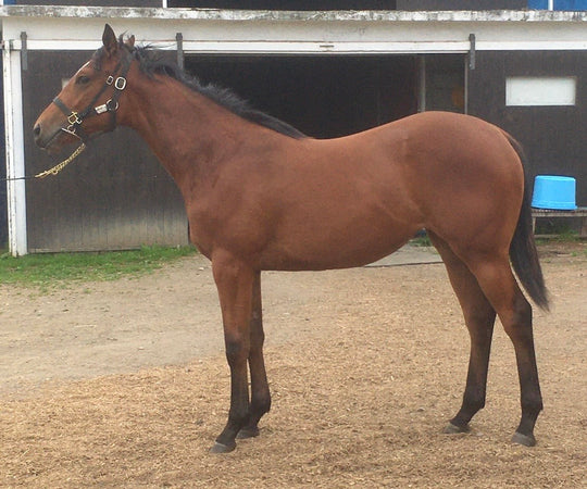 ムービングアウト20